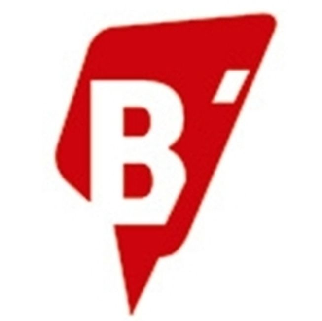 BIMPRESS Logo
