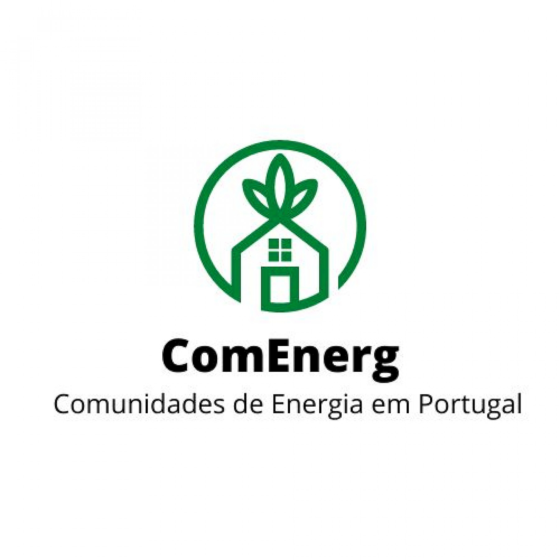 Coimbra logo
